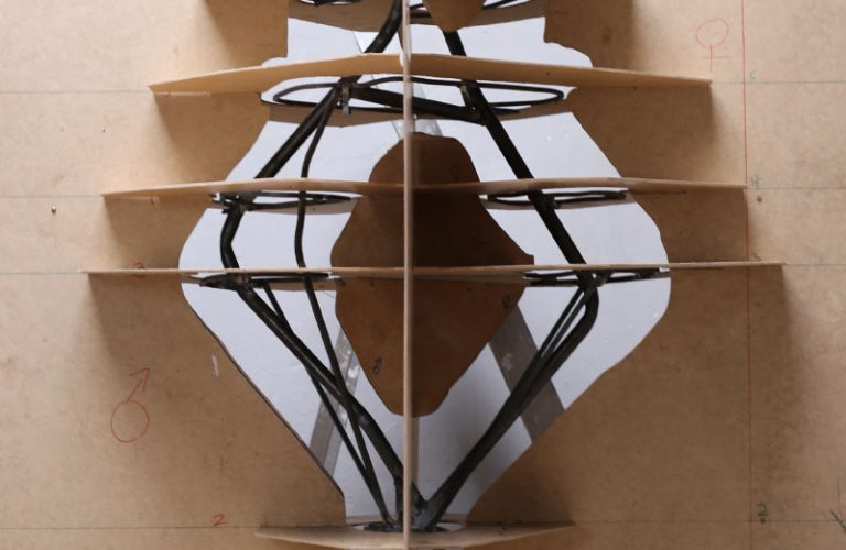 06-das-Gerippe-waechst